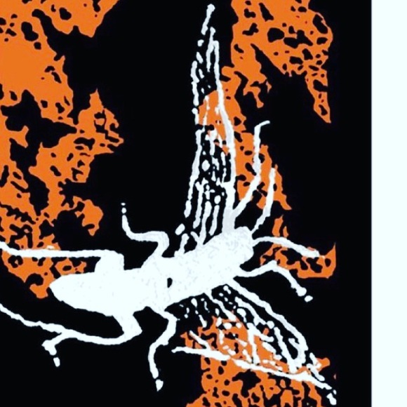 Meet your Posher, Noah - Picture 1 of 1